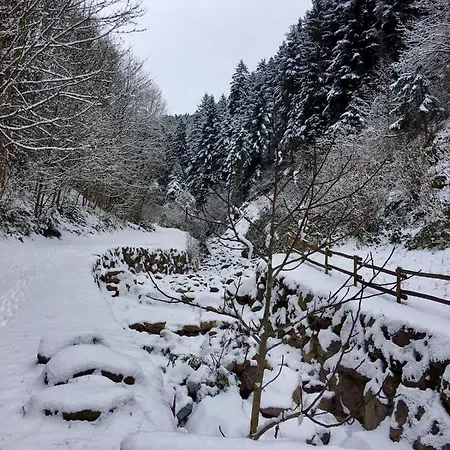 Lodge Stalla & *